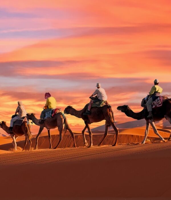 Morocco Errachidia Desert Tours