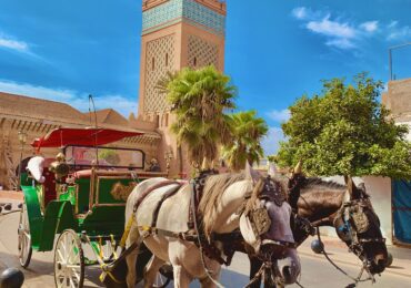 Tours From Marrakech