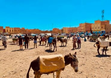 3 DAYS DESERT TOUR FROM OUARZAZATE TO FES